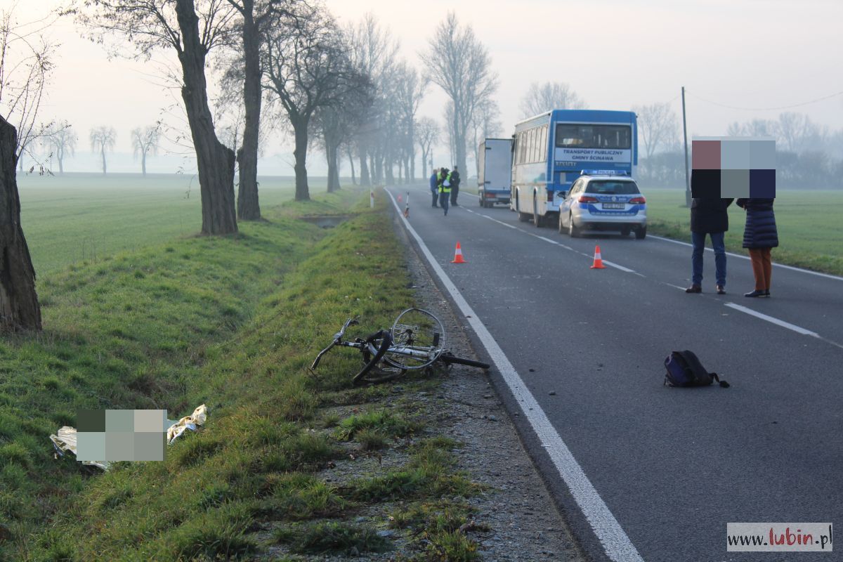 Tragedia na drodze wojewódzkiej. Rowerzysta zginął na miejscu (FOTO, WIDEO)