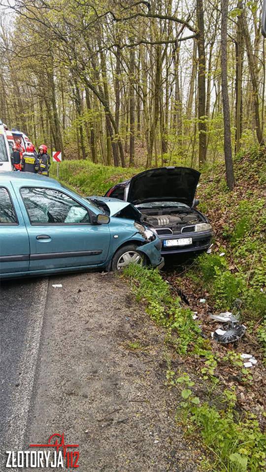 Groźny wypadek koło Złotoryi. Kierowca uwięziony w aucie (FOTO)